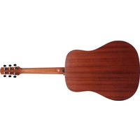 Акустическая гитара Ibanez AAD50-LG