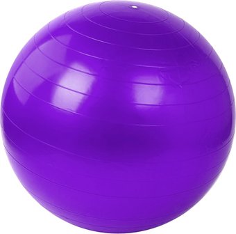 Гимнастический мяч Darvish DV-S-211 55 см (ассорти)