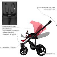 Универсальная коляска BEBETTO Magnum (3 в 1, 207, черная рама)