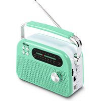 Радиоприемник Ritmix RPR-045 (зеленый)