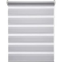 Шторы день-ночь Jalux День-Ночь V 2079/17 105x160 (светло-серый) в Гомеле