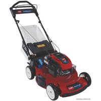 Газонокосилка TORO 20955