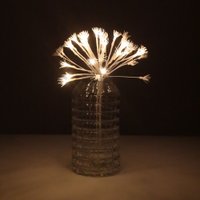 Рождественская ветка AksHome Тип 8 Фейерверк 31х75см 25LED 3АА