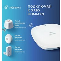 Центр управления (хаб) Hommyn Hub HH-01