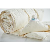 Одеяло D'Em Brace Каханка Васiлiнка 220x200 в Орше