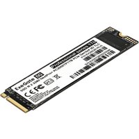 SSD ExeGate NextPro+ 1TB KC2000TP1TB