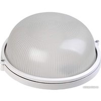 Уличный настенный светильник IEK НПП1101 LNPP0-1101-1-100-K01