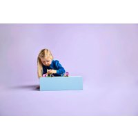 Конструктор LEGO Friends Игровая площадка для щенков 42665