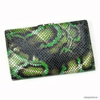 Кошелек Cedar Lorenti 55020-MSN-RFID (зеленый)