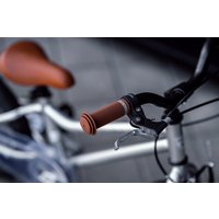 Детский велосипед Lenjoy Sports Silver Ghost 16 LS16-13S (серый)