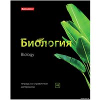 Тетрадь предметная BRAUBERG Black&Bright 403560 (10шт)