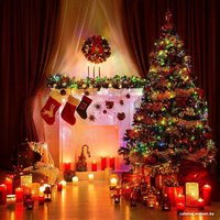 Светодиодная гирлянда Евросвет 400-005 a044100 (мульти)