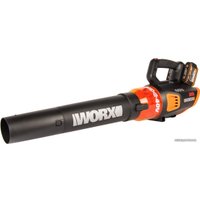 Ручная воздуходувка Worx WG584E (с 2-мя АКБ)