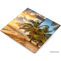 Напольные весы HomeStar STM-11