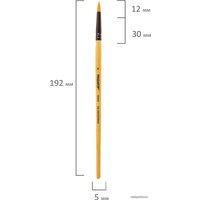Кисть для рисования Пифагор 200844