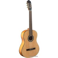 Акустическая гитара Flight C-100 NA 4/4