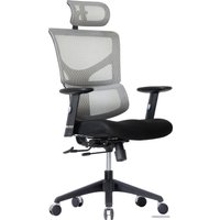 Офисное кресло Ergostyle Sail-E (светло-серый/черный)