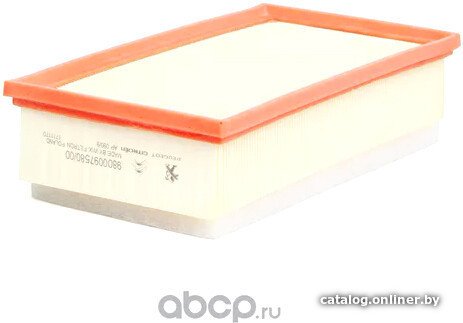 Воздушный фильтр Peugeot/Citroen 9800097580