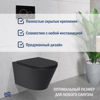 Унитаз подвесной Lauter Longer 2110822B + 21901002 (кнопка прямоугольная, черный/черный)