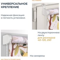 Рулонные шторы Franc Gardiner Print Фрукты 50x160 9403217485 (мультиколор)