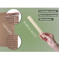 Жалюзи горизонтальные АС МАРТ 23 61x160 (светло-салатовый)