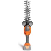 Кусторез + ножницы Daewoo Power DAHT 2521Li (без АКБ)