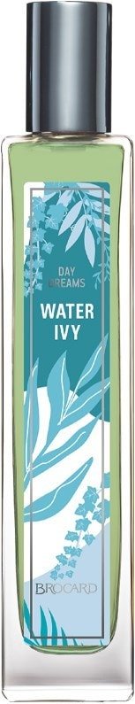 

Туалетная вода Brocard Water Ivy EdT (55 мл)