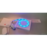 Готовый комплект светодиодной ленты Yeelight LED Lightstrip 1S YLDD05YL 2 м