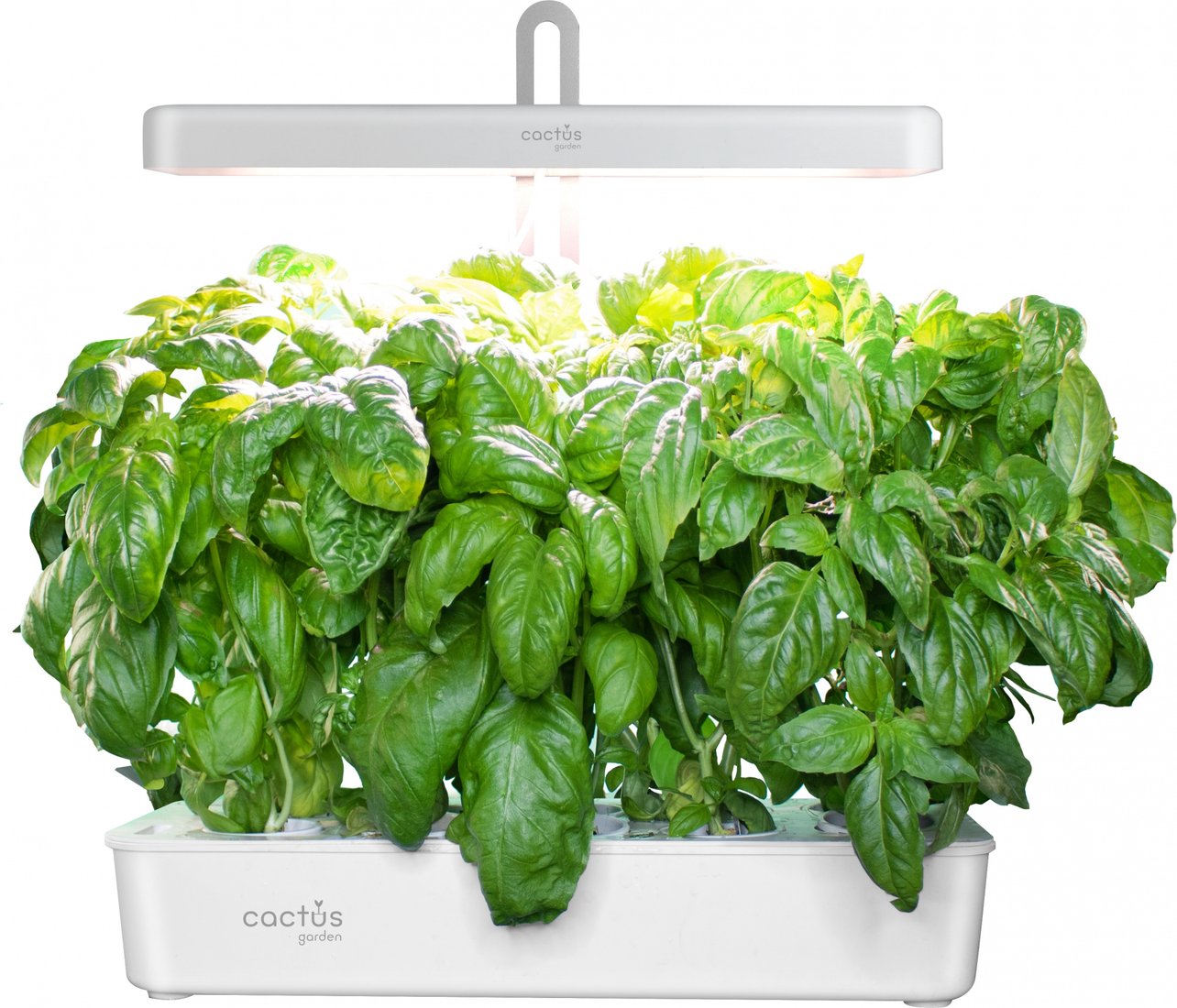 

Умный сад CACTUS CS-LEDPOT-10