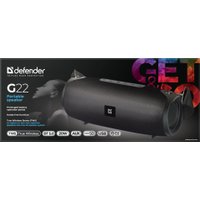 Беспроводная колонка Defender G22 в Витебске