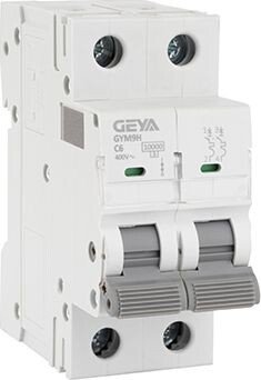

Выключатель автоматический GEYA GYM9H-2P-6C 2P 6A C 10kA 2M GYM9H2P6C