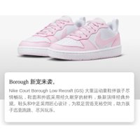 Кроссовки Nike Court Borough Low Pink Foam White GS DV5456-105 (40)