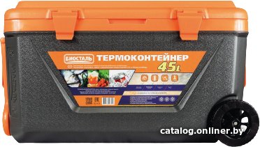 Термобокс БИОСТАЛЬ CB-G-K 45л (черный/оранжевый)