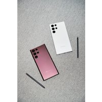 Телефон Samsung Galaxy S22 Ultra 5G SM-S908B/DS 12GB/1TB (белый фантом)