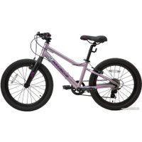 Детский велосипед Maxiscoo 5Bike 20 L 2024 (розовый сапфир)