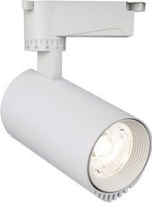 20031TRA/02 LED 20W 4200K (белый матовый)