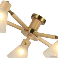 Люстра средней высоты Arte Lamp Meleph A4096PL-5BR