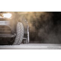 Зимние шины Ikon Nordman 7 205/55R16 94T (шипы)