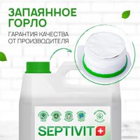 Средство для мытья посуды Septivit Имбирное печенье (5 л)