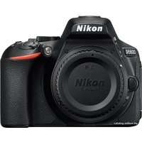 Зеркальный фотоаппарат Nikon D5600 Body