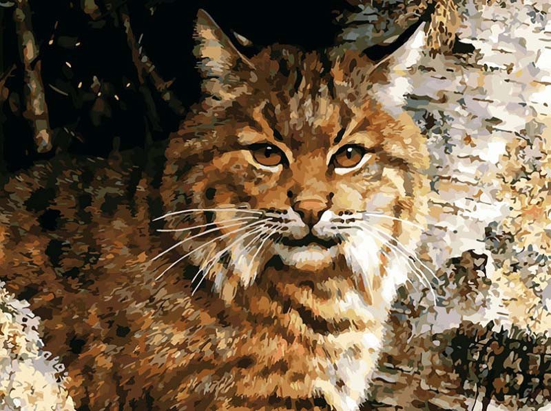 

Картина по номерам Белоснежка Лесной часовой 933-AS