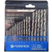 Набор сверл FORSAGE F-DBS19 (19 предметов)