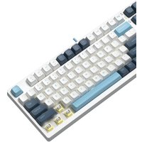 Клавиатура A4Tech Fstyler FS300 Panda Snowboarding