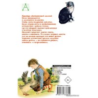 Книга издательства АСТ. Чудесное путешествие Нильса с дикими гусями (Лагерлеф Сельма)