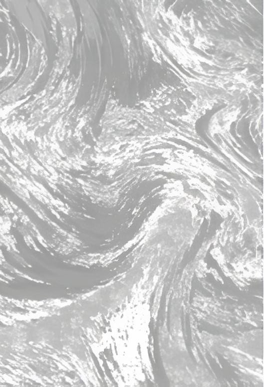 

Ковер для жилой комнаты Bossan Rome E034A-GRI-AGRI (1.6x2.3)