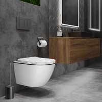 Унитаз подвесной Roxen Antares Black 530110-01B Rimless Soft Close