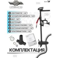 Лодочный мотор Haswing Osapian W-20 в Мозыре