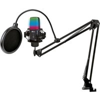 Проводной микрофон Ritmix RDM-270 (черный)