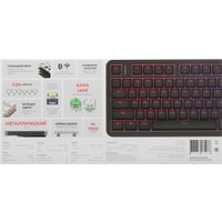 Клавиатура Red Square Alumix TKL Satori Black (g3ms Jade)