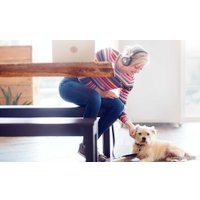 Наушники Plantronics Backbeat Pro 2 SE [207120]